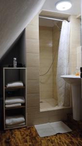 a bathroom with a shower and a sink at Peter Cottage in Petrilaca de Mureş +19 photos