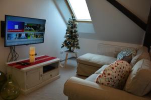 a living room with a christmas tree and a television at Ferme les Iris in Issenheim
