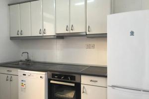 eine Küche mit weißen Schränken, einer Spüle und einem Kühlschrank in der Unterkunft Apartamentos Coso in Saragossa