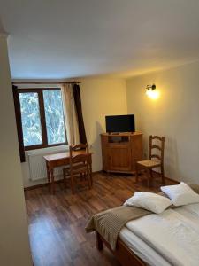a bedroom with a bed and a desk and a television at Pensiunea Aries Arieseni in Arieşeni