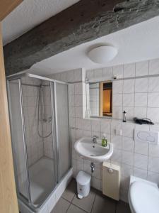 a bathroom with a shower and a sink and a toilet at Hotel Beere in Salzwedel