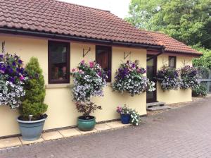 a house with flowers on the side of it at The Mendip is on cheddar bridge Apartments in Cheddar
