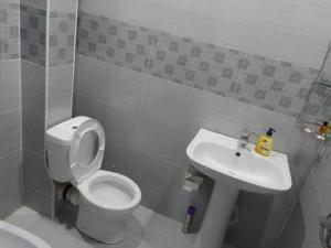 a bathroom with a white toilet and a sink at Resort Hotel BIJNISI in Surami