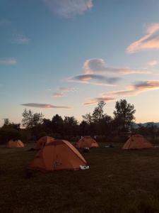 a group of tents sitting in a field at Casa Alice in Ciriè