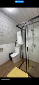 a bathroom with a toilet and a glass shower at Тиша in Verkhovyna
