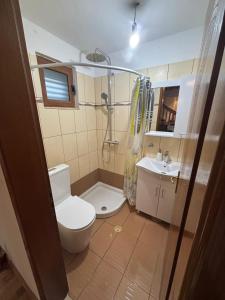 a bathroom with a shower and a toilet and a sink at Gem Guest House in Lazarat
