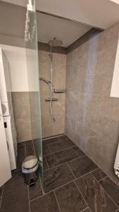 a bathroom with a shower with a glass door at Ferienwohnung Tulipana in Müstair
