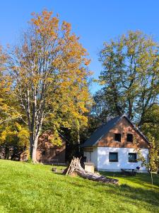 a white house in a field with a tree at Chata Mína in Smržovka
