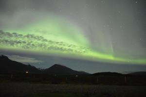 an aurora in the sky over a field at night at Stormur Cottages in Vallanes