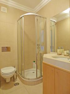 a bathroom with a shower and a toilet and a sink at Apartamento Olhos D'Água in Albufeira