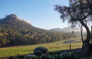 a hill with a tree in a field with a mountain at Mereweather Estate Cottage in Dunkeld +1 photo