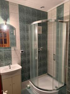 a bathroom with a shower and a sink at U Janiny in Czarna Góra +11 photos