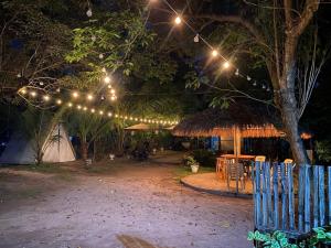 a group of lights hanging from a tree at night at ELEN INN - Malapascua Island Air-conditioned Room1 in Malapascua Island