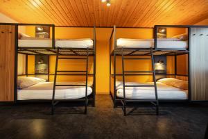 zwei Etagenbetten in einem Zimmer mit gelber Wand in der Unterkunft Eiger Lodge Easy in Grindelwald