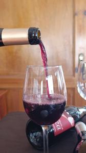 Ein Glas Rotwein wird eingeschenkt. in der Unterkunft Posada Ojedo Los Ñeros in Ojedo + 15 Fotos