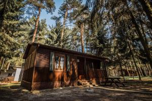 a small cabin in the woods with a picnic table at Leśna Ryba I Domki nad jeziorem z parkiem linowym in Jedlanka Stara