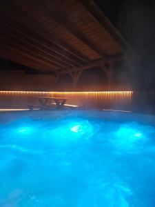 an empty swimming pool at night with blue lights at Domek Pod Skarpą in Wieprzec