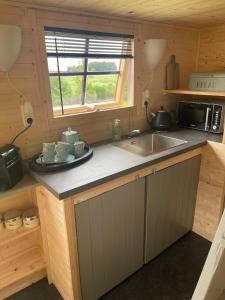 a kitchen with a sink and a counter top at Op zoek naar een leuke overnachting Te huur Prachtig Tiny House De Hutte in Siddeburen