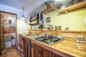 Kuchyň nebo kuchyňský kout v ubytování Villa Tudor