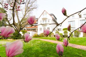 Zahrada ubytování Hotel Birkenhof