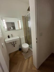 a bathroom with a toilet and a sink and a shower at Triberg City Apartment 1 in Triberg