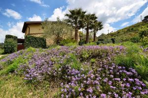 a garden filled with lots of flowers and plants at Giucalem La Casa Negli Orti in Piazza Armerina