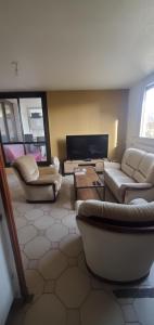 a living room with two couches and a tv at Colocation Du Grand Large in Décines-Charpieu