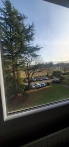 a window with a view of a parking lot with a tree at Colocation Du Grand Large in Décines-Charpieu