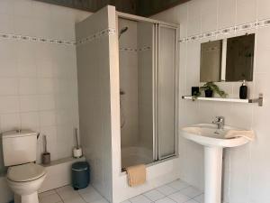 a bathroom with a shower and a toilet and a sink at L'ancien Relais de Poste*** in Saint-Dier-dʼAuvergne +63 photos