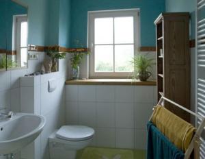 a bathroom with a toilet and a sink and a window at Landgut Jungbrunnen in Glashagen