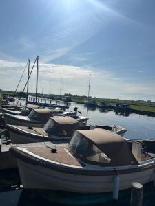 a group of boats docked at a dock in the water at Groepsverblijf Villa d'Uylenburgh in Hommerts +1 photo