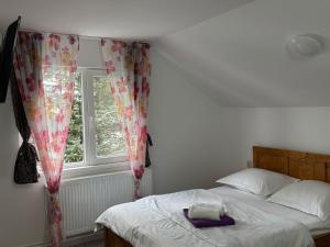 a bedroom with a bed and a window at Casa Dia Belis in Beliş