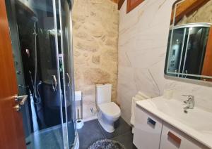 a bathroom with a toilet and a shower and a sink at O Palheiro in Caramulo +14 photos