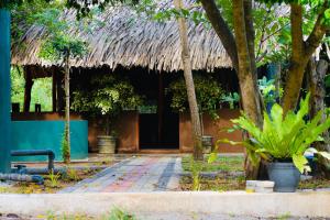 a building with a thatched roof and a pathway with plants at Nature's Edge Udawalawa in Sinuggala +10 photos