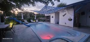 a swimming pool with a slide in a backyard at Casa de Vacanta Nufarul Crisan in Tulcea