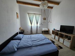 a bedroom with a blue bed and a television at Casa de Vacanta Nufarul Crisan in Tulcea +34 photos