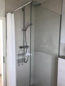 a shower with a glass door with a shower curtain at Strandhaus-Seeschwalbe in Fehmarnsund
