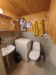 a small bathroom with a toilet and a sink at Blue House Nature Retreat with Private Garden in Sastamala +12 photos