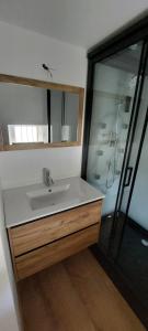 a bathroom with a sink and a shower at Gite Rive Charente La Cabane in Bords