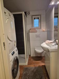 a bathroom with a washing machine and a sink at Parel van het bos in Norg