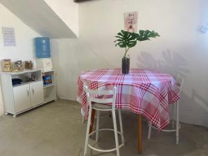 a table with a potted plant on top of it at Pousada da Vânia in Vespasiano +23 photos