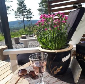 a table with a glass of water and a potted plant at Hyttekos i Telemark in Åmli
