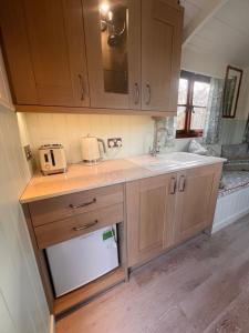 a kitchen with wooden cabinets and a sink at Orchard Shepherds Hut in Calstock