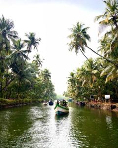 a group of boats on a river with palm trees at Eden homes in Honāvar