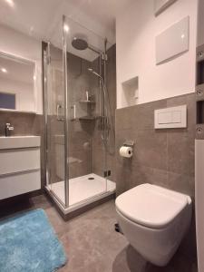 a bathroom with a shower and a toilet and a sink at Spatz am Joch in Oberjoch +27 photos