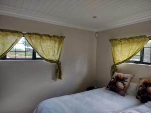 a bedroom with two windows and a bed at Zebra Lodge in Gqeberha