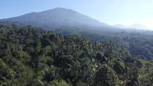 a view of a forest with mountains in the background at jungle house in Jatiluwih