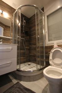 a bathroom with a shower and a toilet at Rempart du Chateau-SV82 StudioVincennes in Vincennes +14 photos