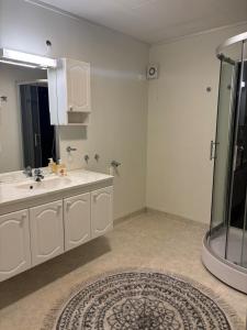 a bathroom with a shower and a sink and a mirror at Apartment in Senja in Senja +18 photos