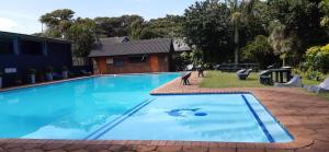 a large blue swimming pool in a yard at HAPPY JUNGLE at 6 in St Lucia +26 photos